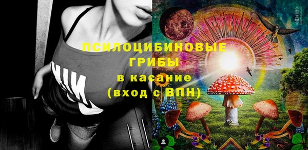 соль ск Алзамай