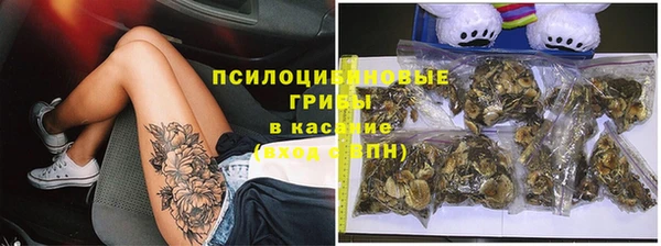 эйфоретик Алексин